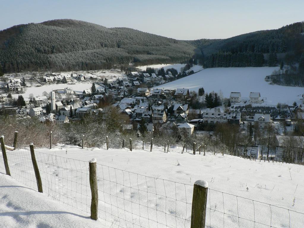 Landhaus Silberberg Winterberg Eksteriør bilde